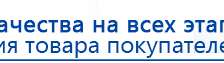 ДЭНАС-ПКМ (Детский доктор, 24 пр.) купить в Усолье-сибирском, Аппараты Дэнас купить в Усолье-сибирском, Скэнар официальный сайт - denasvertebra.ru